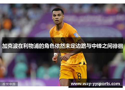 加克波在利物浦的角色依然未定边路与中锋之间徘徊 加克波在利物浦的角色依然未定边路与中锋之间徘徊